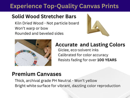 2025 C8 Corvette Canvas Wall Art | Black Chevrolet Sports Car Print | Modern Auto Poster | Car Lover Gift | C8 Vette Decor | Supercar Poster