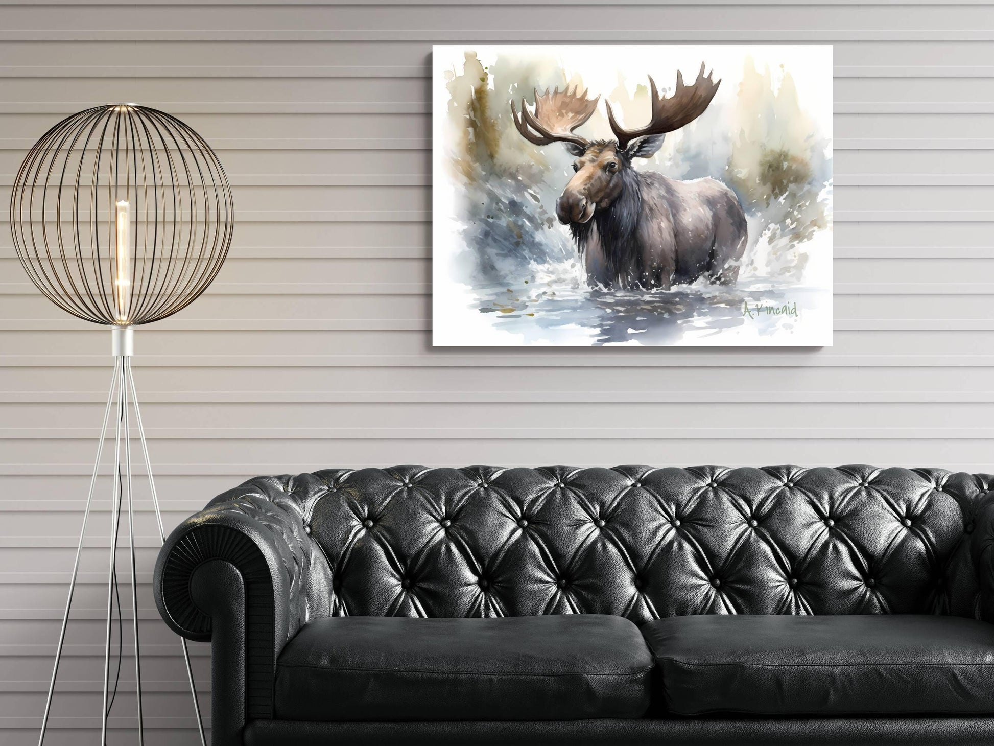 a large moose standing in a body of water, with a black leather couch in the foreground.