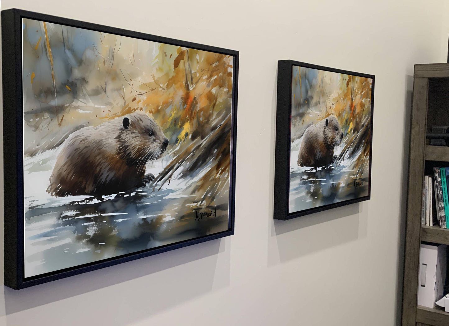 two framed paintings of a beaver in a river, hanging on a wall.