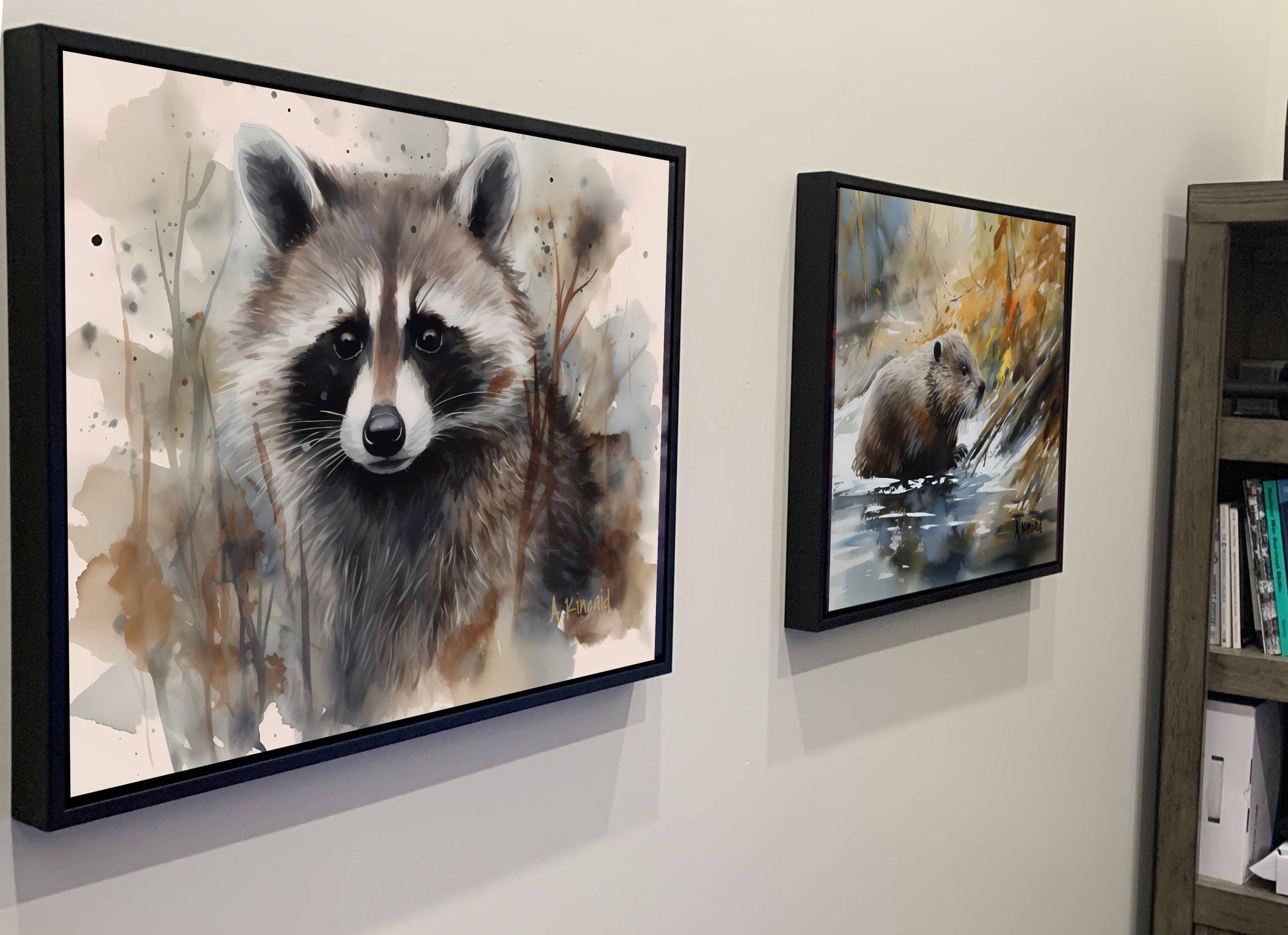 two framed paintings of raccoons hanging on a wall.