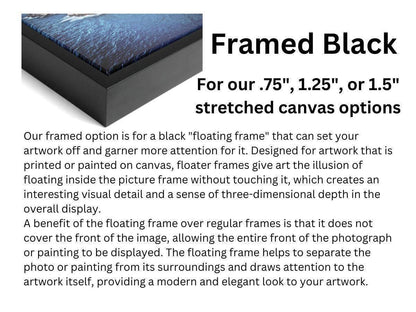 black floating frame information