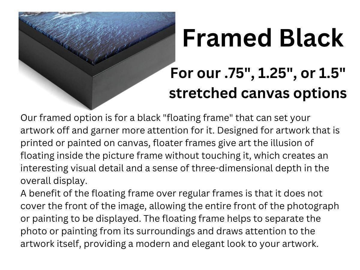 black floating frame information